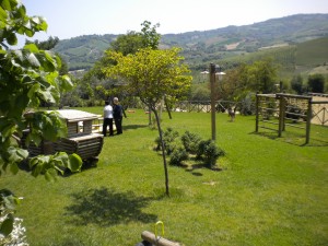 DSCN0078